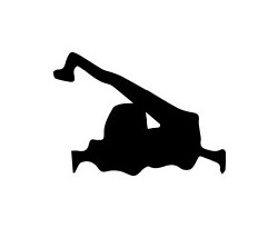 Rotating Telehandlers